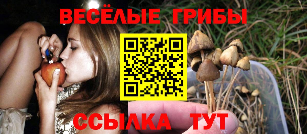 Выборг  Галлюциногенные грибы мухоморы  Псилоцибиновые грибы мухоморы  Вход с VPN 