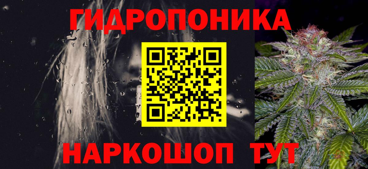 Выборг  Конопля сатива  Вход с VPN  Бошки Шишки ГИДРОПОН  МАРИХУАНА Bruce Banner  Шишки марихуана план 